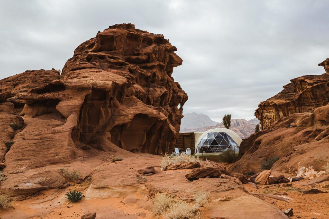 Palmera Camp Wadi Luxury tent